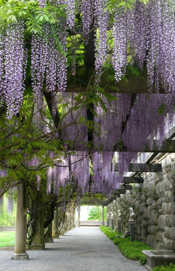 Village Hotel On Biltmore Estate Эшвилл Экстерьер фото